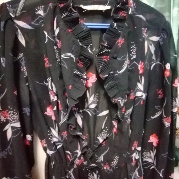 Vintage 1970s sheer dress - Picture 2 of 4